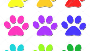 Pitfall of being a cat’s paw (Part-II)