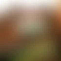 Diminishing Gratitude