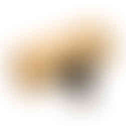 Black Swamp Woodblock Mount