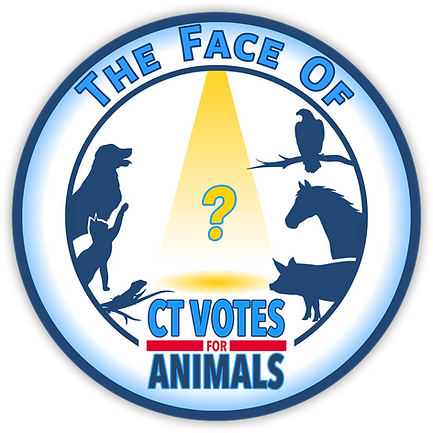 FaceOfCVALottery_Logo_1800x1800.png