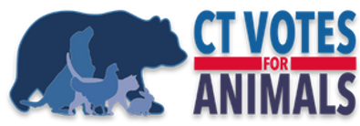 CVA_ShadowLogo2.png