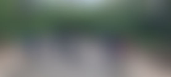 Gallus Pedals Tour Group on a Bridge in Kelvingrove Park