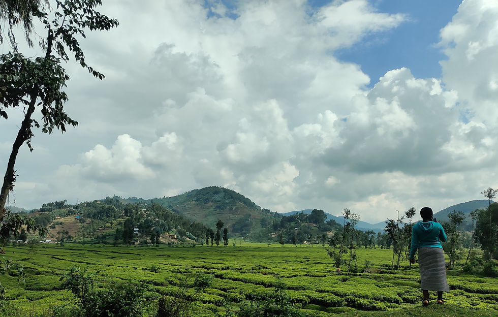 A view in Rwanda