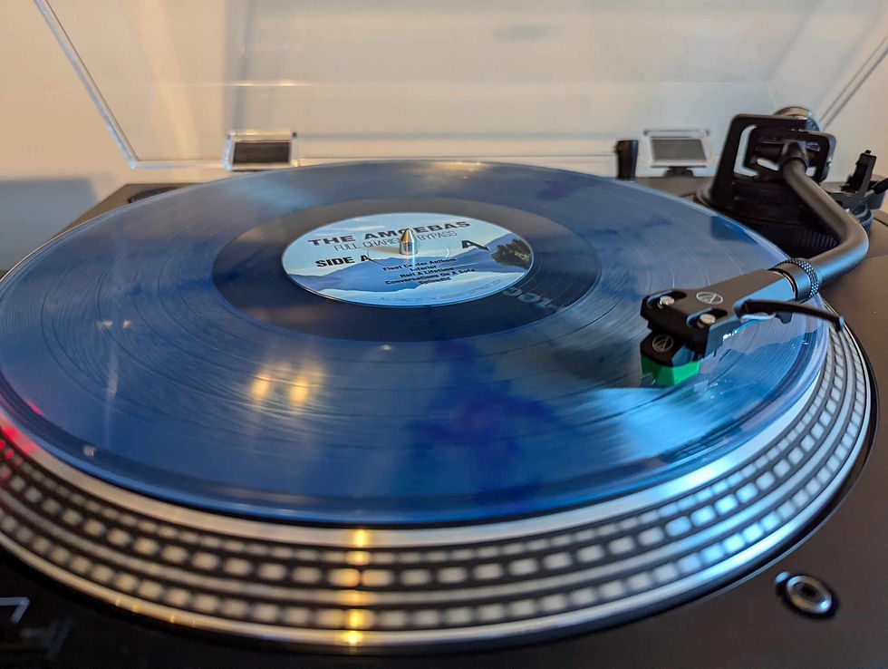 Thumbnail: Full Charisma Bypass VINYL