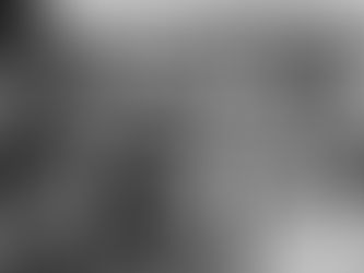 Historia Polskich Dzieci z Pahiatua