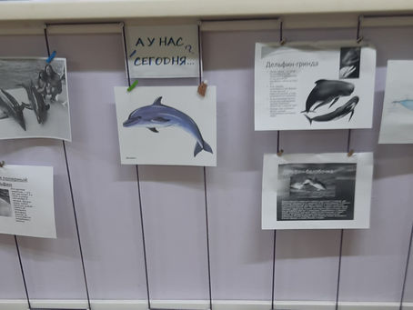 "А у нас сегодня..."