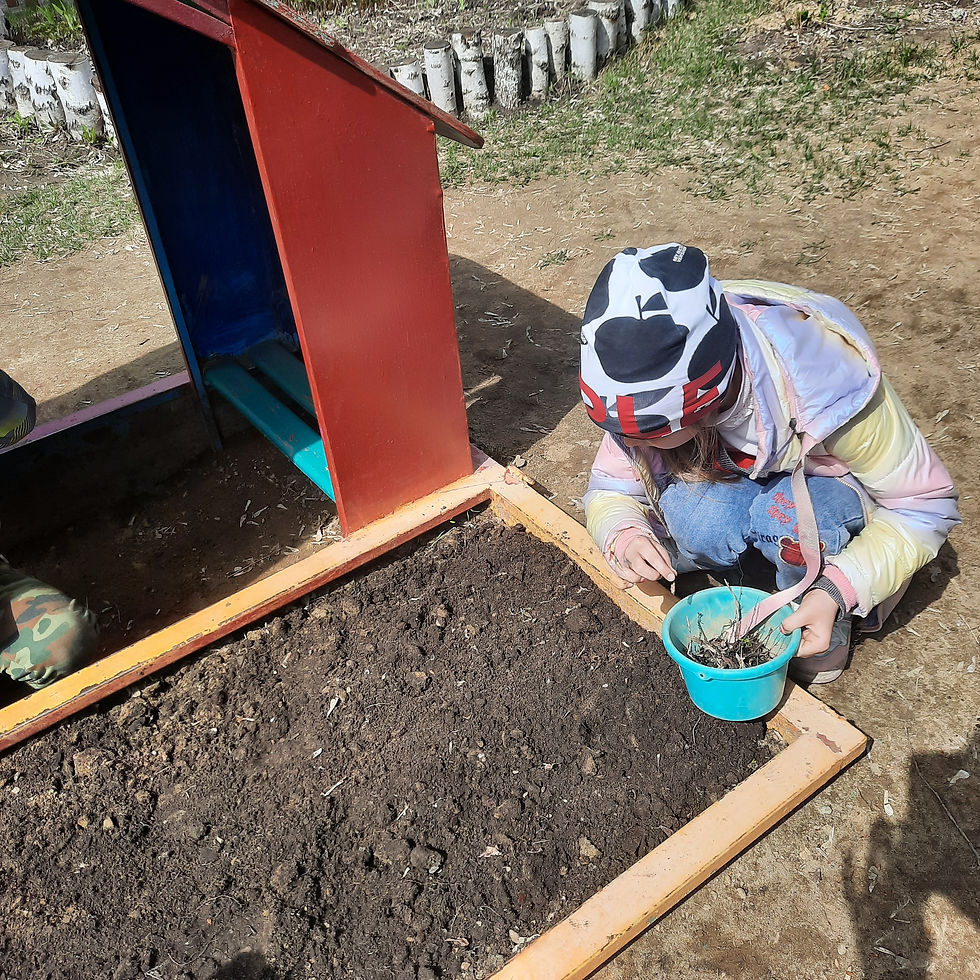 Весенние посадки