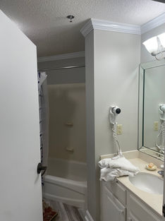 Interior Painting of small bathroom by Profect Painters.