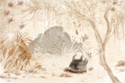 瓮棺1