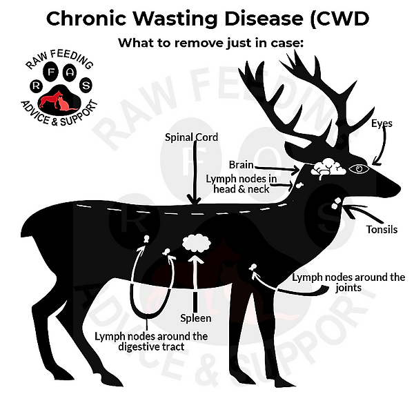 cwd_34118946.png