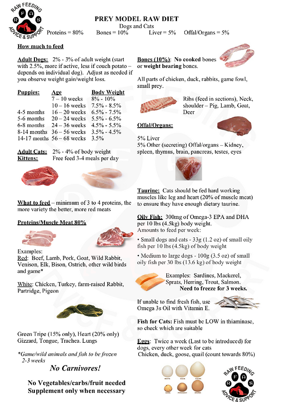 untitled-infogr_44238984 (1).png