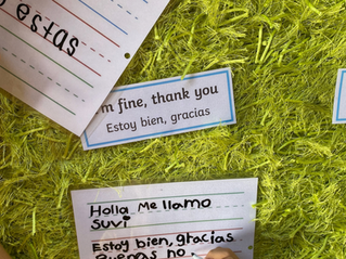 Early Enrichment Program is growing (EEP) !!!