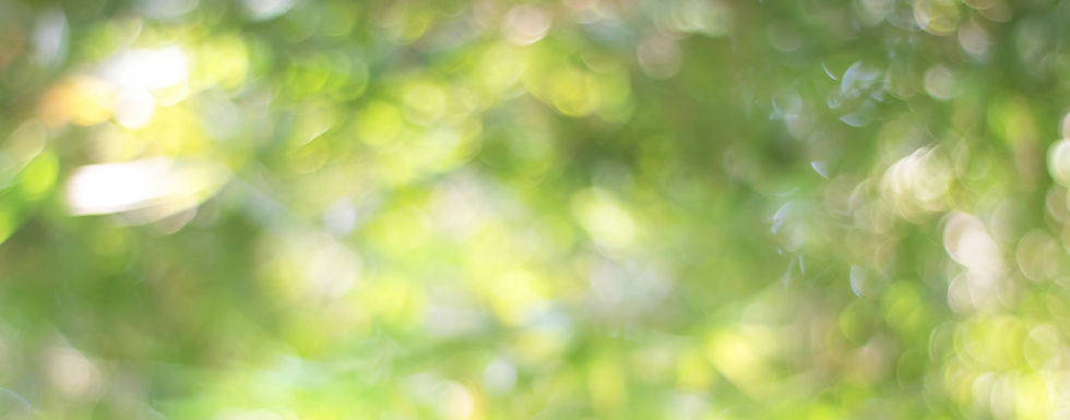 defocused-image-plants (1) 2.jpg