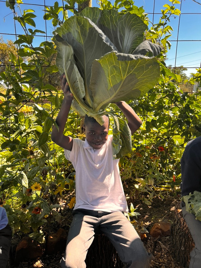 Each child’s harvest tells a story of patience, care, and the delight of seeing their efforts bloom.