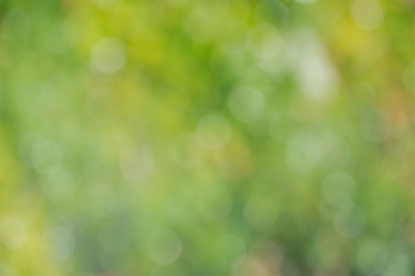 natural-defocus-light-background-green-yellow-color-natural-bokeh.jpg