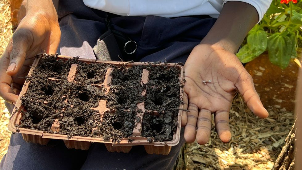 Student planting seeds for the next reason.