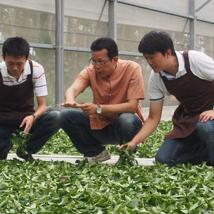 名間誌Làm-á Magazine 名間百樣人>來去理事長家喝杯茶|綠泰茶業有限公司