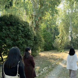 名間誌Làm-á Magazine 名間百樣人>擁抱森林的美好|森十八心靈劇場