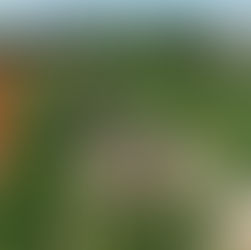 名間誌Làm-á Magazine 探索名間>找回歷史!名間茶香碉堡活化行動