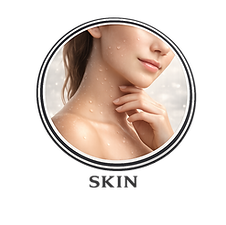 skin.png