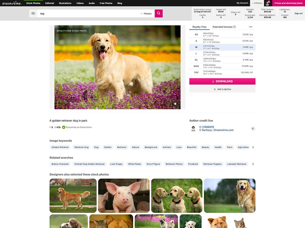 Dreamstime Stock Photos