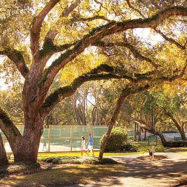 Amelia-Tennis-Panoramic.jpg