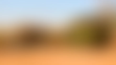 Fair Trade Safaris latest addition to Tennis With The Stars Sponsor Lineup
