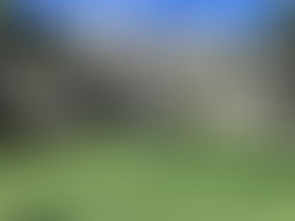 The Ritz-Carlton Key Biscayne: A Grand Reopening