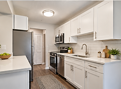trollie_lane_renovated_kitchen.png