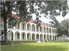 The Moye Center, Castroville