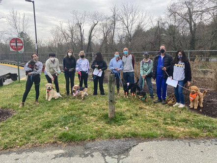 outdoor pup class.jpeg