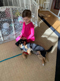 pup and pink girl.jpeg