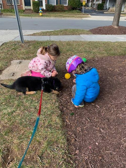 pup and girls.jpeg