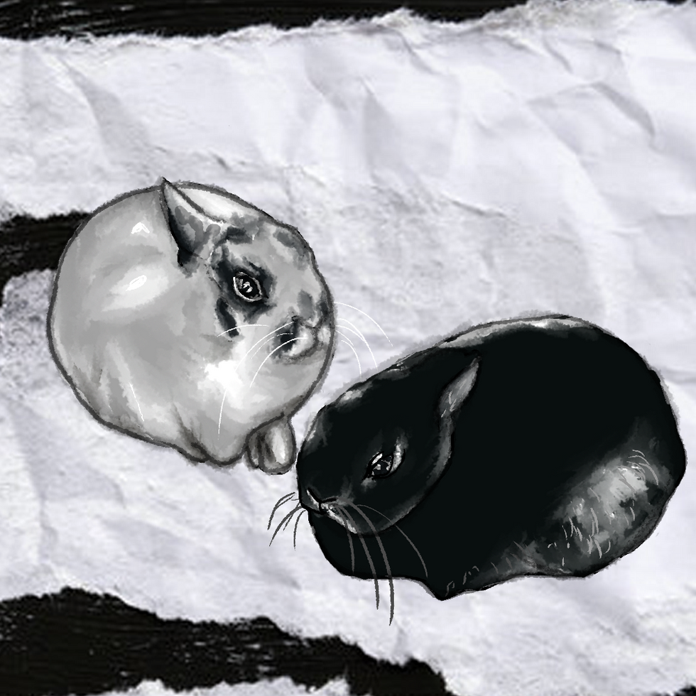 Rabbits