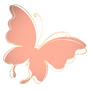 butterfly_transparent_edited.png