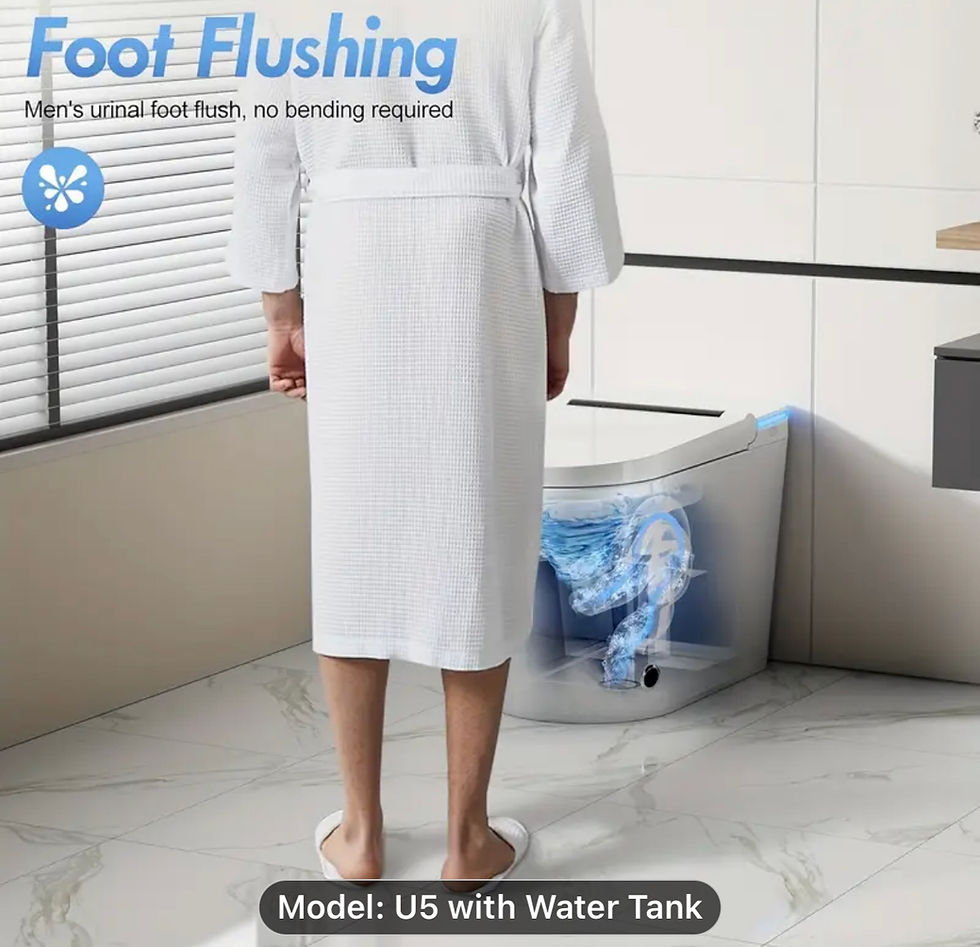 Thumbnail: Power flush Smart toilet system with built in tank 