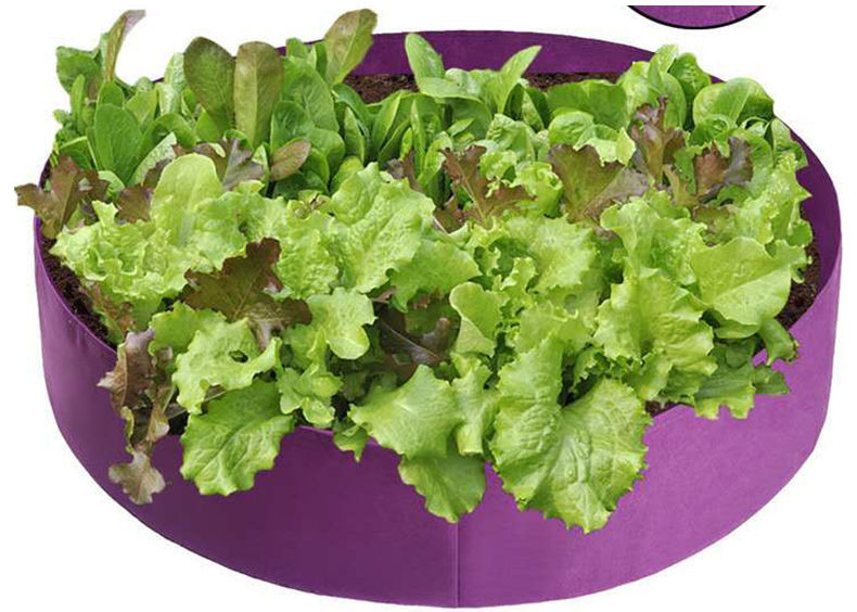 Thumbnail: Planted Barrels