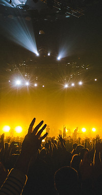 Big Concert Crowd