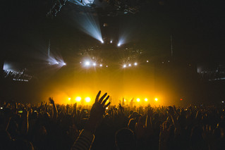 Announce : International Showcase Artists