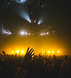 Big Concert Crowd