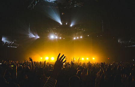 Big Concert Crowd