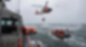 Gemini_Generated_Image_1l6grz1l6grz1l6g.png