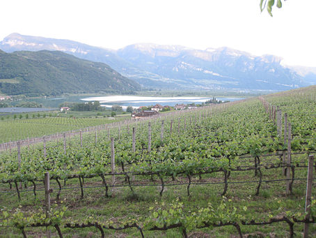Clubreise 2010 / Südtirol