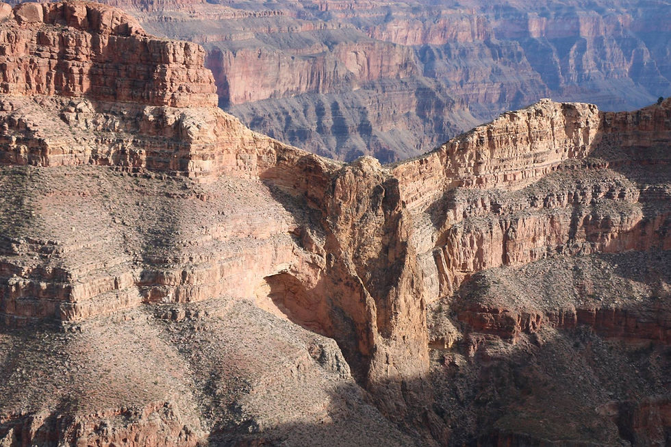 Landscape5