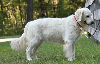 IMG_4449_edited.jpg