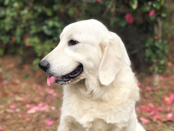 FullSizeRender (1).jpg