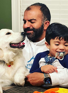 English Golden Retriever adores her family | Hickory Ridge Goldens