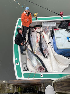 Bluefin Tuna Catch