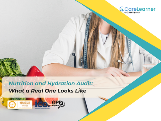 Nutrition and Hydration Audit: What a Real One Looks Like