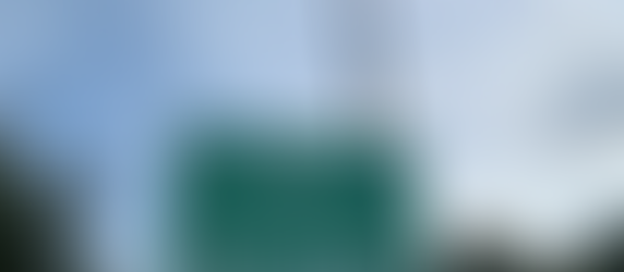 Giddy up - the Wunderhorse are in town